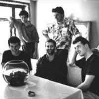 photo of Lloyd Cole And The Commotions